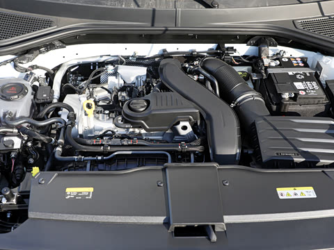 2026�� 300TSI DSG���������