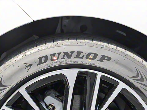 2026�� ˫�� 2.5HG ����