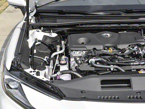 2026�� ˫�� 2.5HG ����