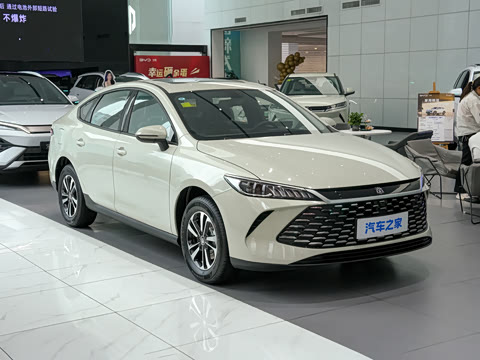 2026�� DM-i 210KM��ȡ��
