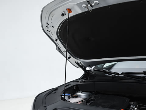 2026�� Զ���� 225km �ǽ���