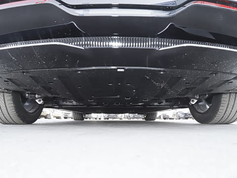 2025�� Elite�����