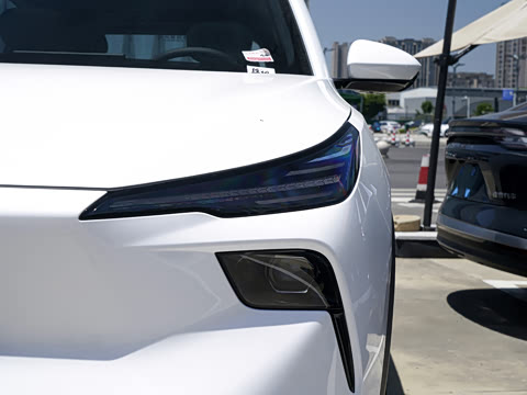 2026�� 565km ��ϲ��