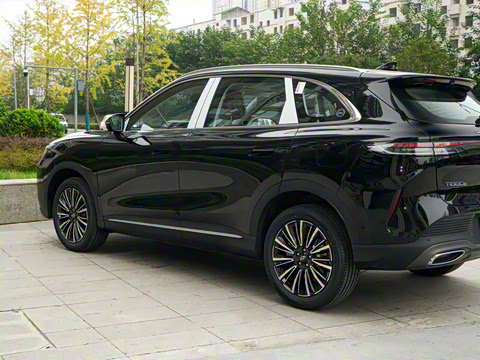 2026�� ����� ���� ����1.6T �Զ��콢��