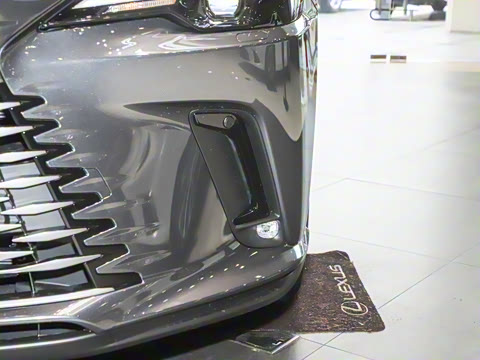 2025�� 300 ����������