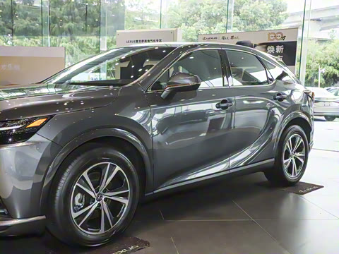 2025�� 300 ����������