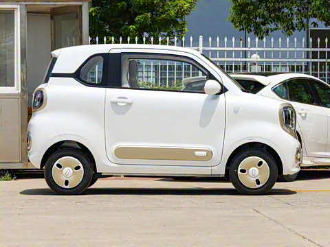 2026�� 222km ��ҫ��