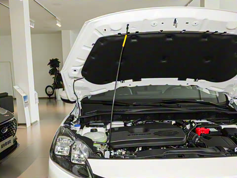 2024�� EcoBoost 245 ����ҫ����