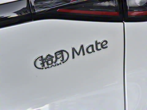 2026�� Mate 201km �����