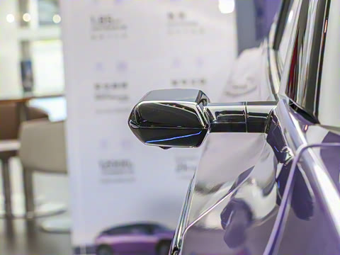 2025�� ����������Pro