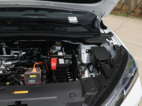 2026�� 530Խ����