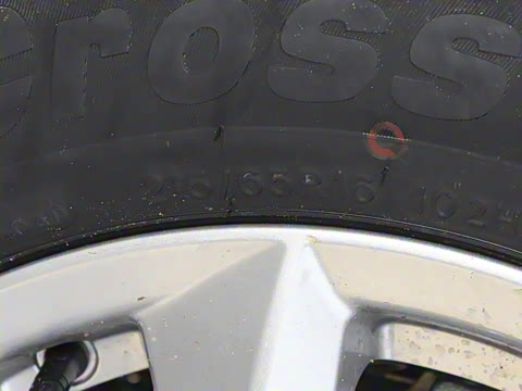 2025�� 460km ������ 9��