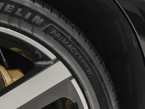 2025�� ������������Pro��