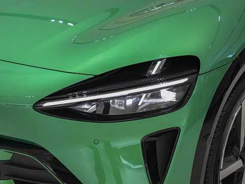 2025�� ������������Pro��