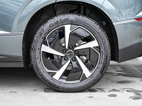 2025�� DM-i 205�캽Pro��