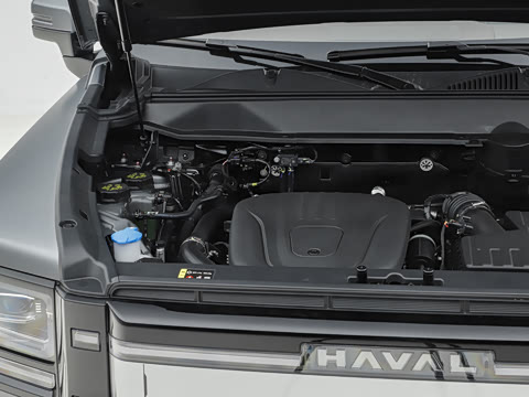 2026�� 255km ������