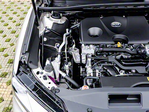 2026�� 2.0GVP ������