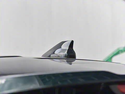 2025�� 290T ��������+