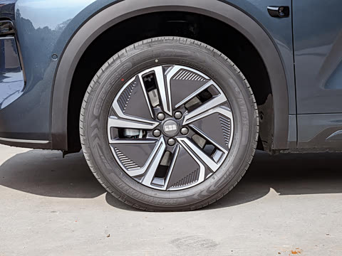 2026�� 135km �캽��