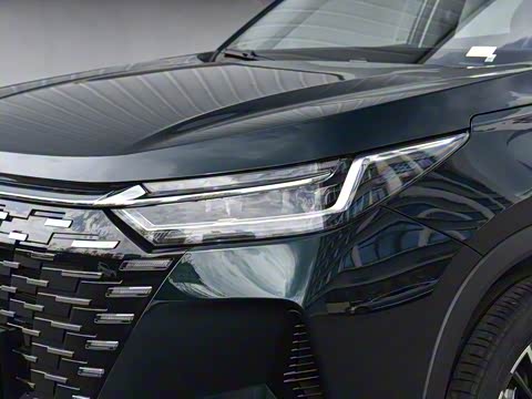 2025�� 290T ��������+