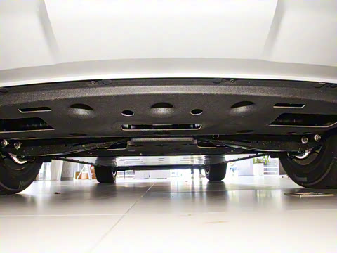 2025�� 520 ��ѡ��