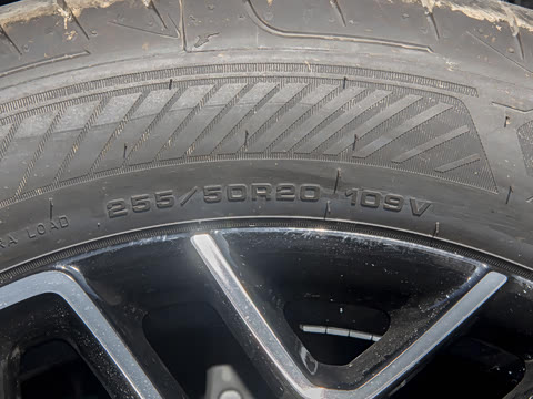 2026�� Elite ���̰�