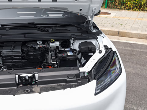 2026�� 501km ���а�