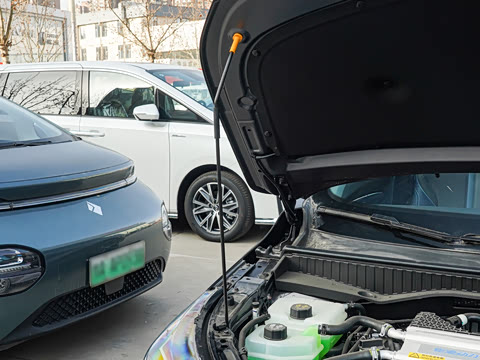 2026�� Ӱ�� 270T ������ ƽ������