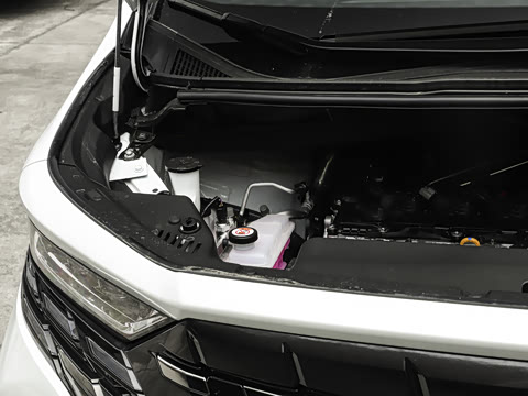 2025�� ˫�� 2.5L �����ƽ��