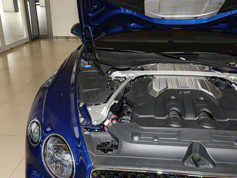 2024�� 4.0T GT V8