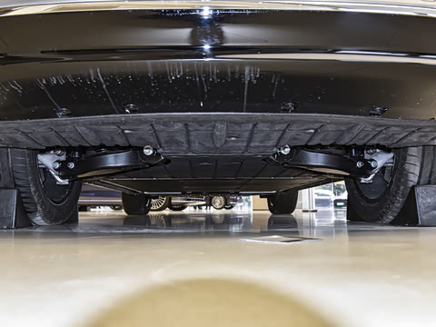 2025�� ���� Max ������