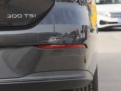 2026�� L 300TSI DSG ʱ����