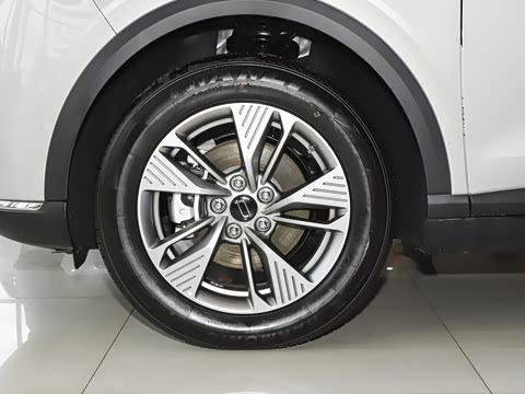 2025�� 565km �����