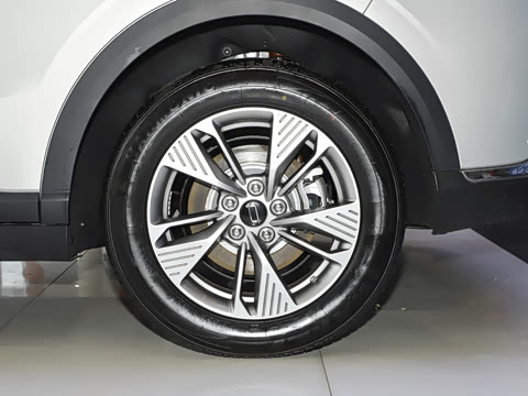 2025�� 565km �����