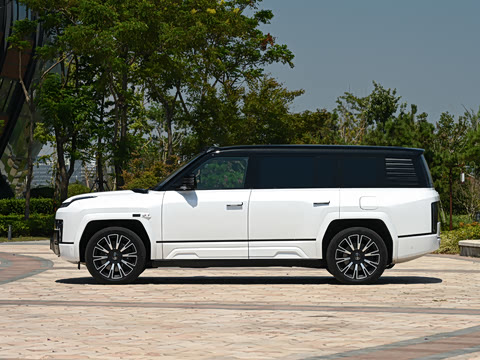 2025�� ������