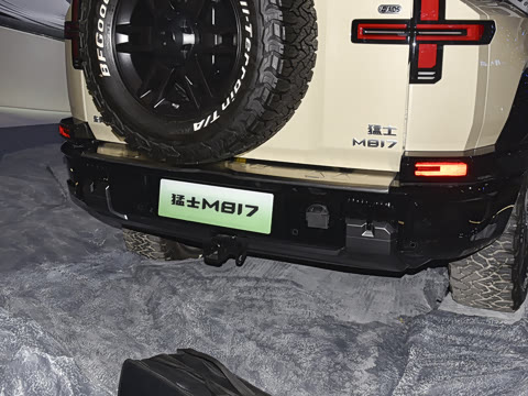 2025�� Max+