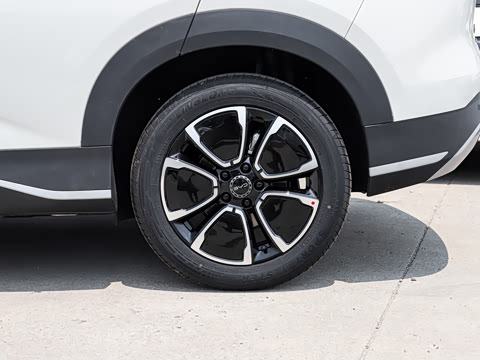2026�� DM-i 220�캽��