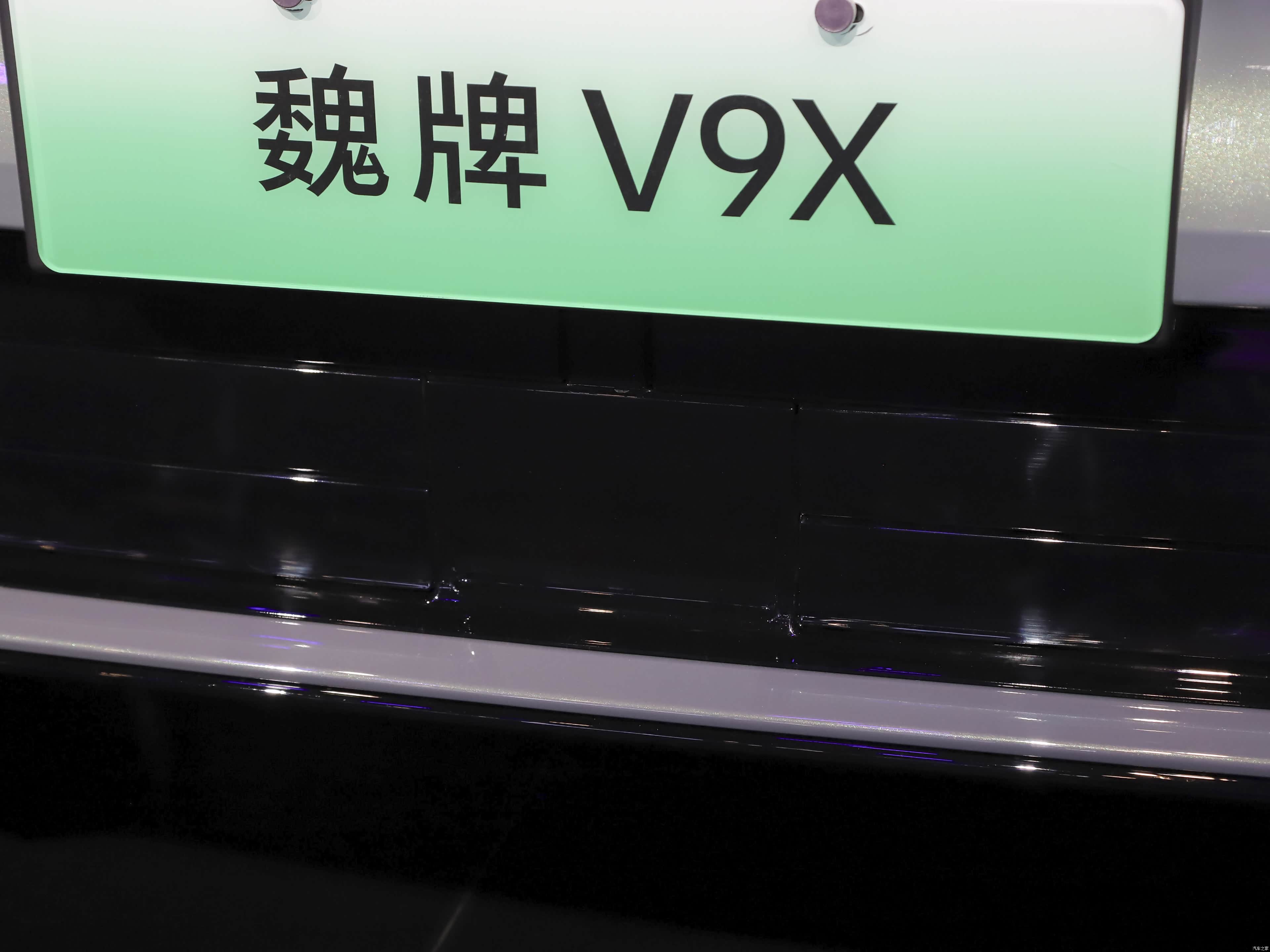 WEY V9X, миниатюра 17