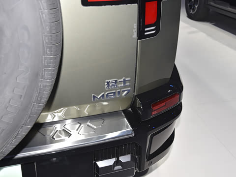 2025�� Pro
