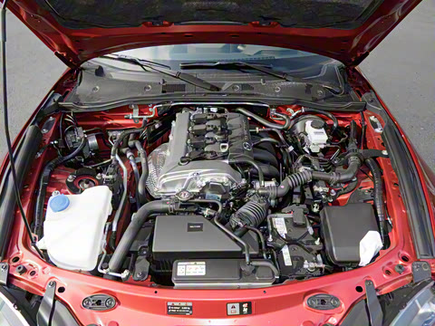 2025�� �ֶ��������� ī�����