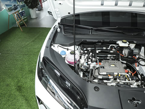 2025�� 520���г��а�