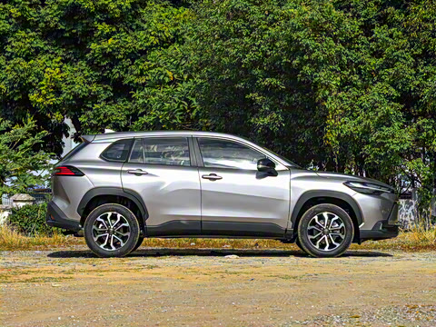 2026�� 2.0L ���ܵ��˫�� ������