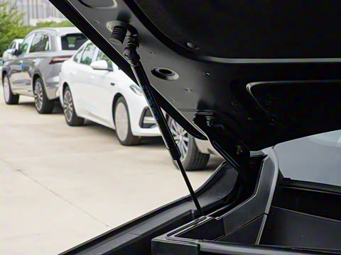 2025�� 230km ����̽����