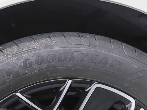 2026�� ����������