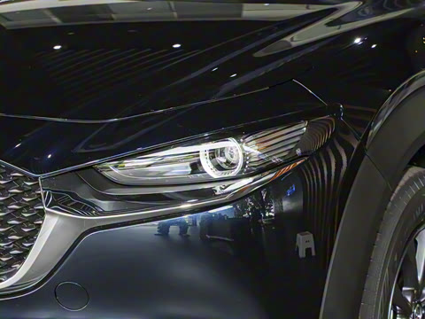 2025�� 2.0L �ֶ�������