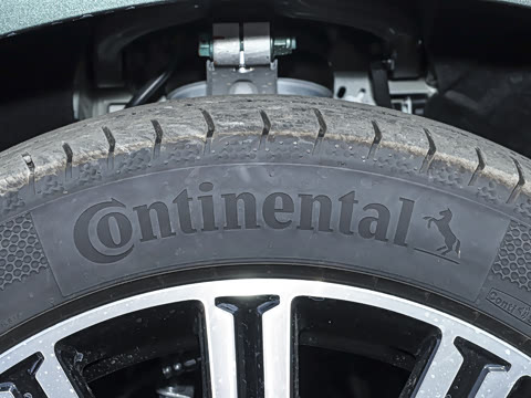 2026�� ��Խ��