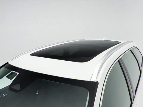 2026�� ���ʽ�춯 �������������ź�����