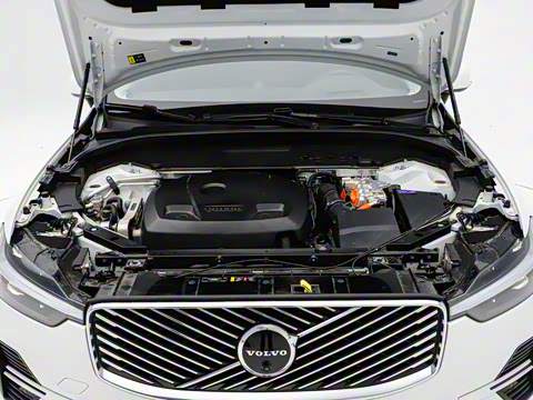 2026�� ���ʽ�춯 �������������ź�����