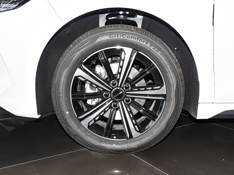 2025�� DM-i 120KM ���а�