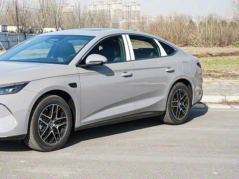 2026�� DM-i 170KM��Խ��